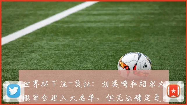 世界杯下注-莫拉：刘奕鸣和绍尔大概率会进入大名单，但无法确定是否出场